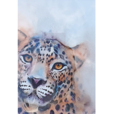 leopard