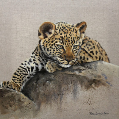 leopard