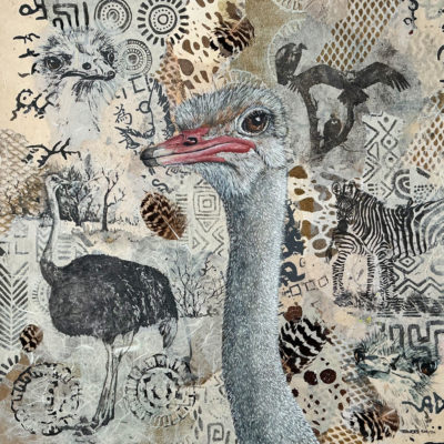 ostrich