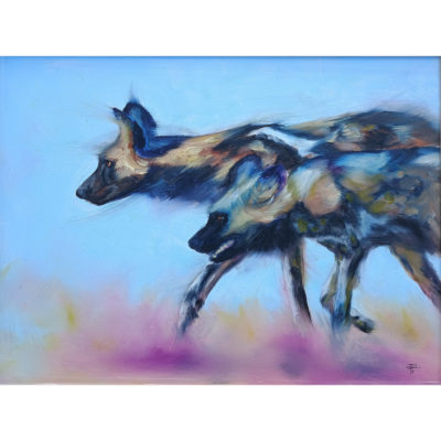 wild dog