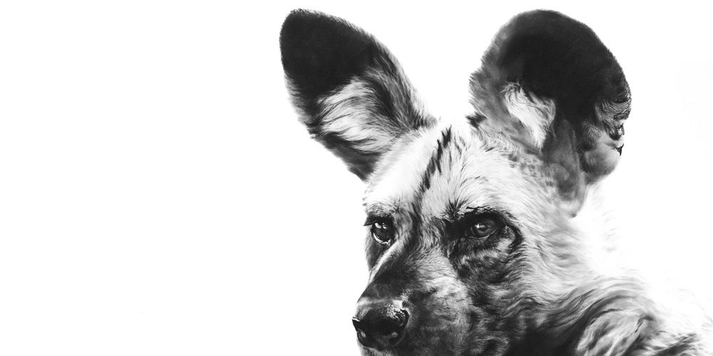 painted dog