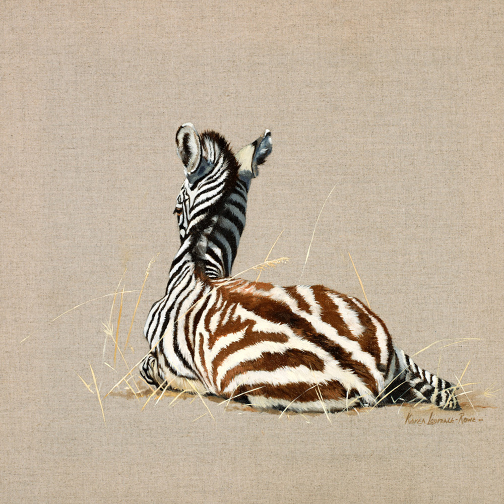 zebra